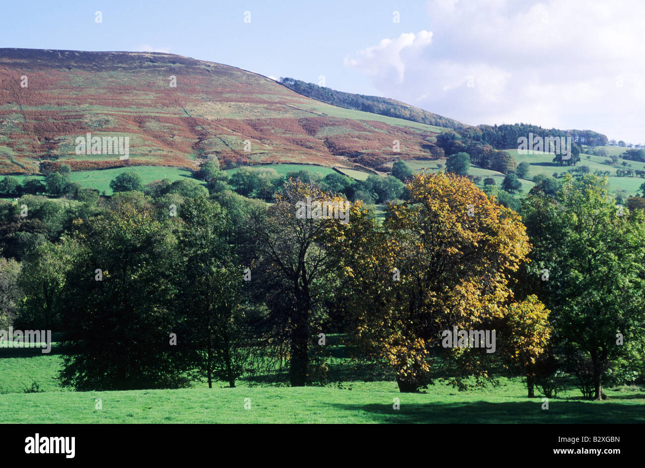 Win collina vicino speranza Derbyshire valle collinare colline verdi campi inglese paesaggio di boschi di alberi paesaggio boscoso England Regno Unito Foto Stock