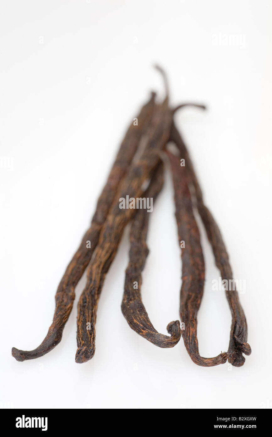 Baccelli di vaniglia dal Madagascar Foto Stock