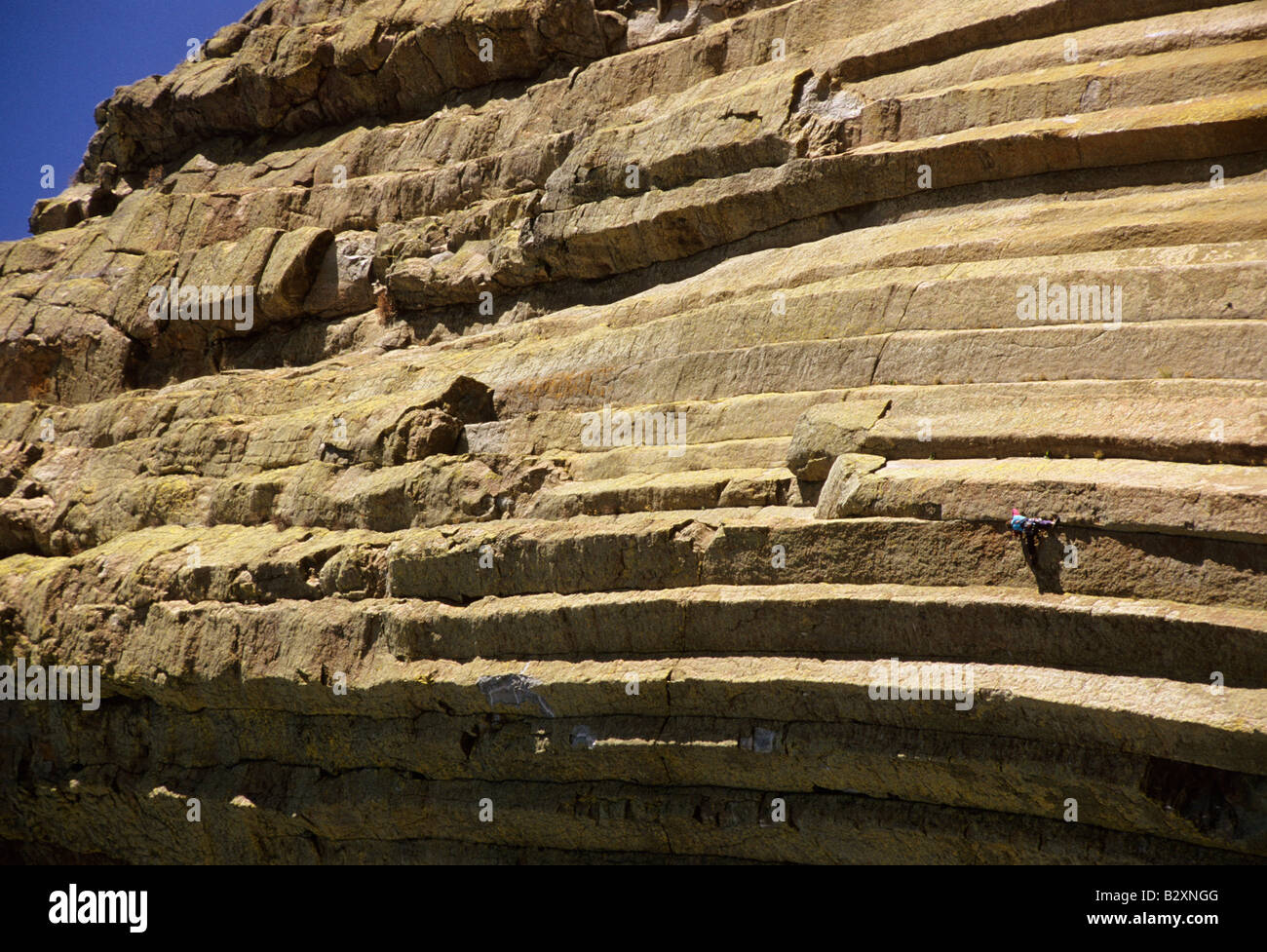 Devils Tower National Monument, Wyoming usa Foto Stock