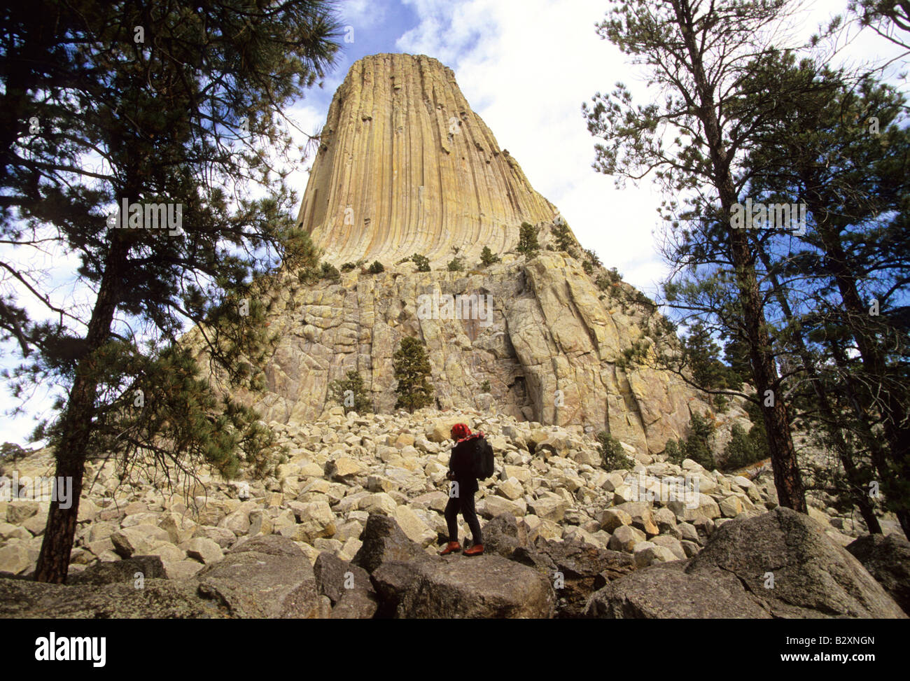Devils Tower National Monument, Wyoming usa Foto Stock