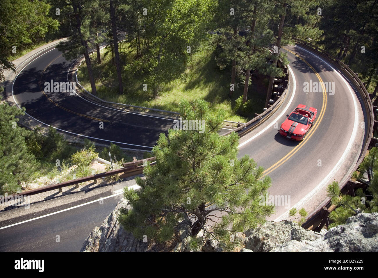 Rosso convertibili guida su Iron Mountain Road, Black Hills, nei pressi del Monte Rushmore National Memorial, il Dakota del Sud Foto Stock