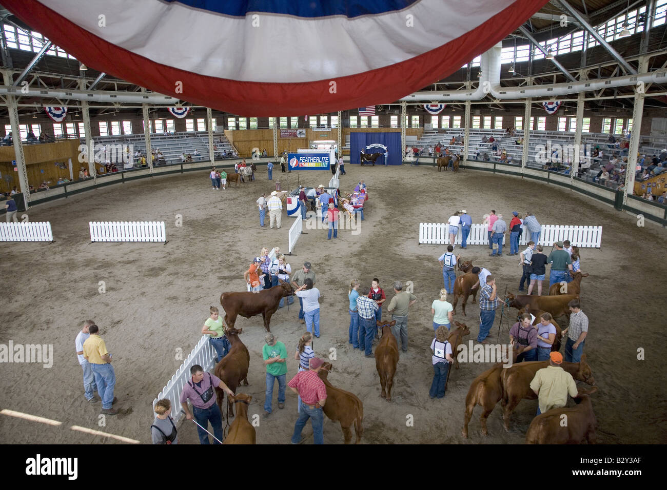 Concorso di bestiame con bandiera americana alla Iowa State Fair, Des Moines, Iowa, Agosto 2007 Foto Stock
