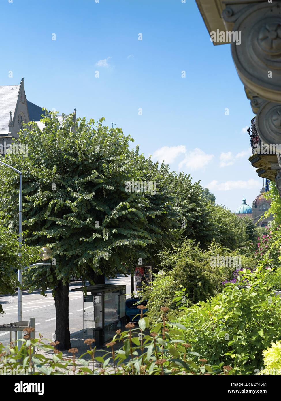 Strada con alberi foderato Strasburgo Alsace Francia Foto Stock