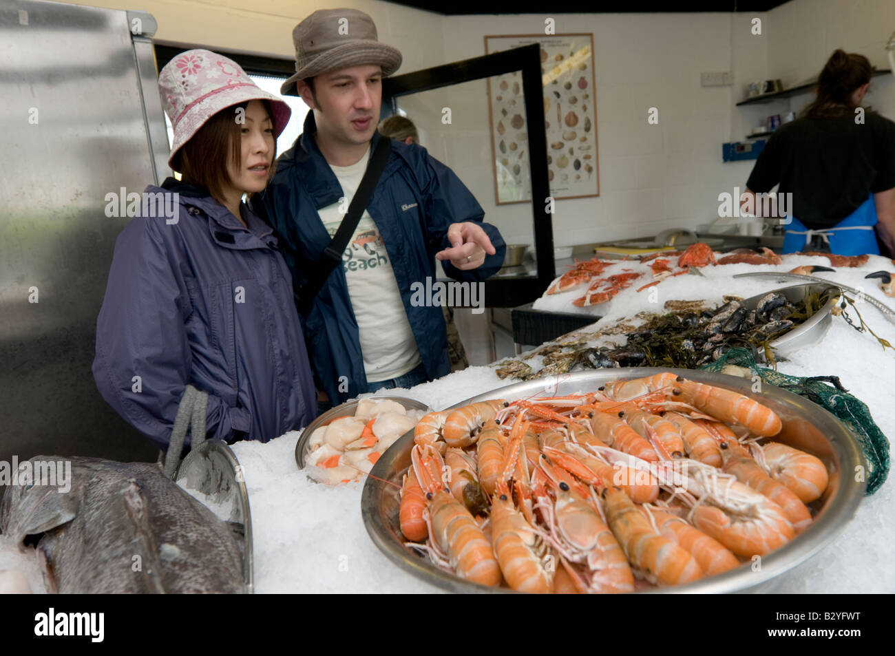 Coppia giovane cerca in locali freschi cardigan bay langoustine gamberi frutti di mare pescivendoli shop Ceredigion Aberaeron west wales UK Foto Stock