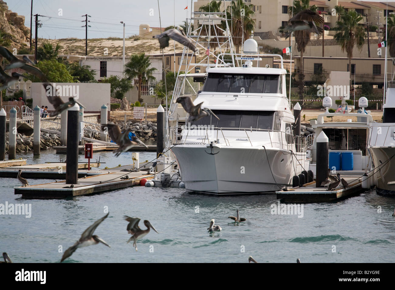 Cabo San Lucas, Messico Foto Stock