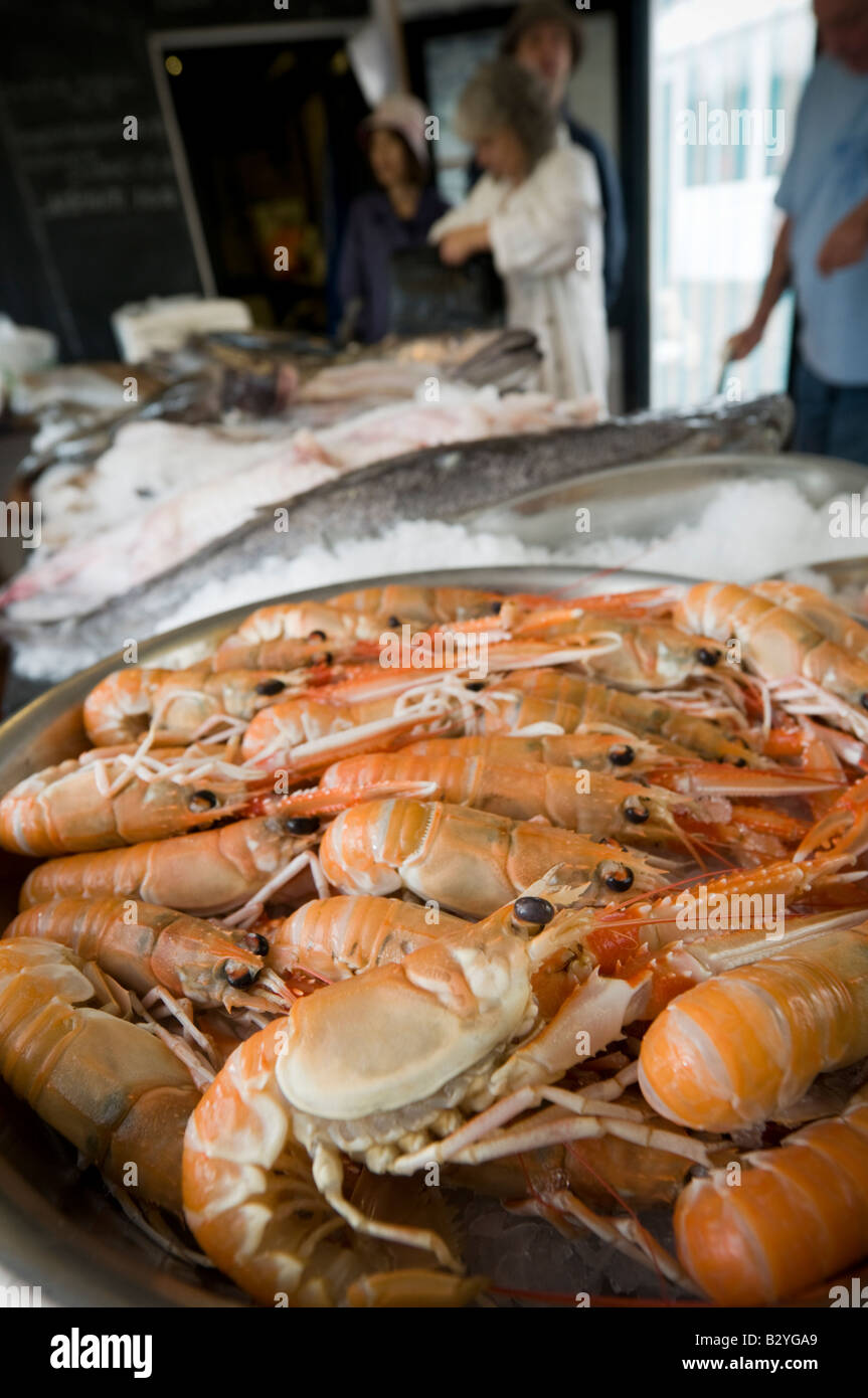 Fresh cardigan bay langoustine lingoustine in vendita nel tuo pescivendolo s shop Aberaeron Galles Ceredigion REGNO UNITO Foto Stock
