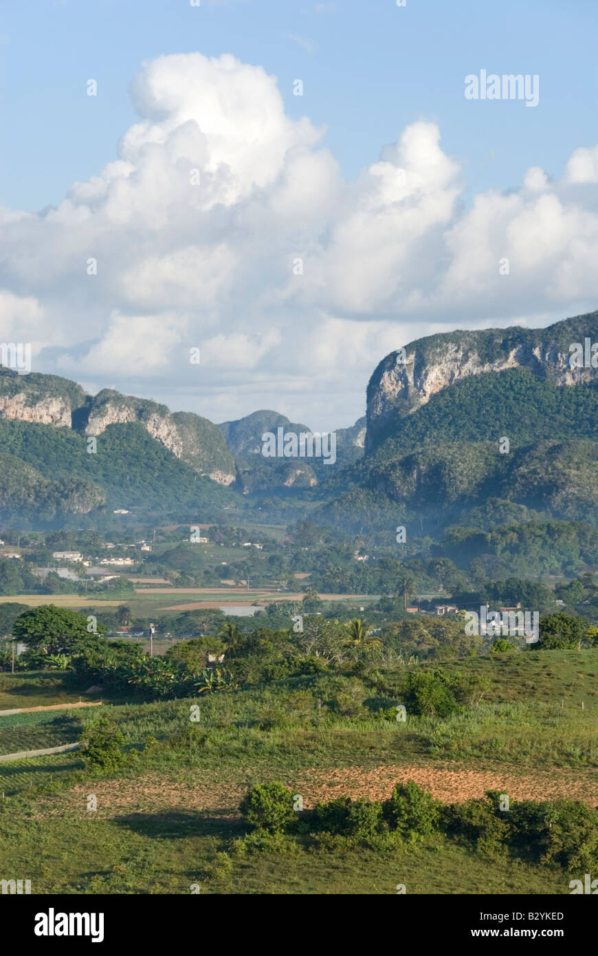 Calcare scoscese colline mogote nella valle di Viñales in Cuba Foto Stock