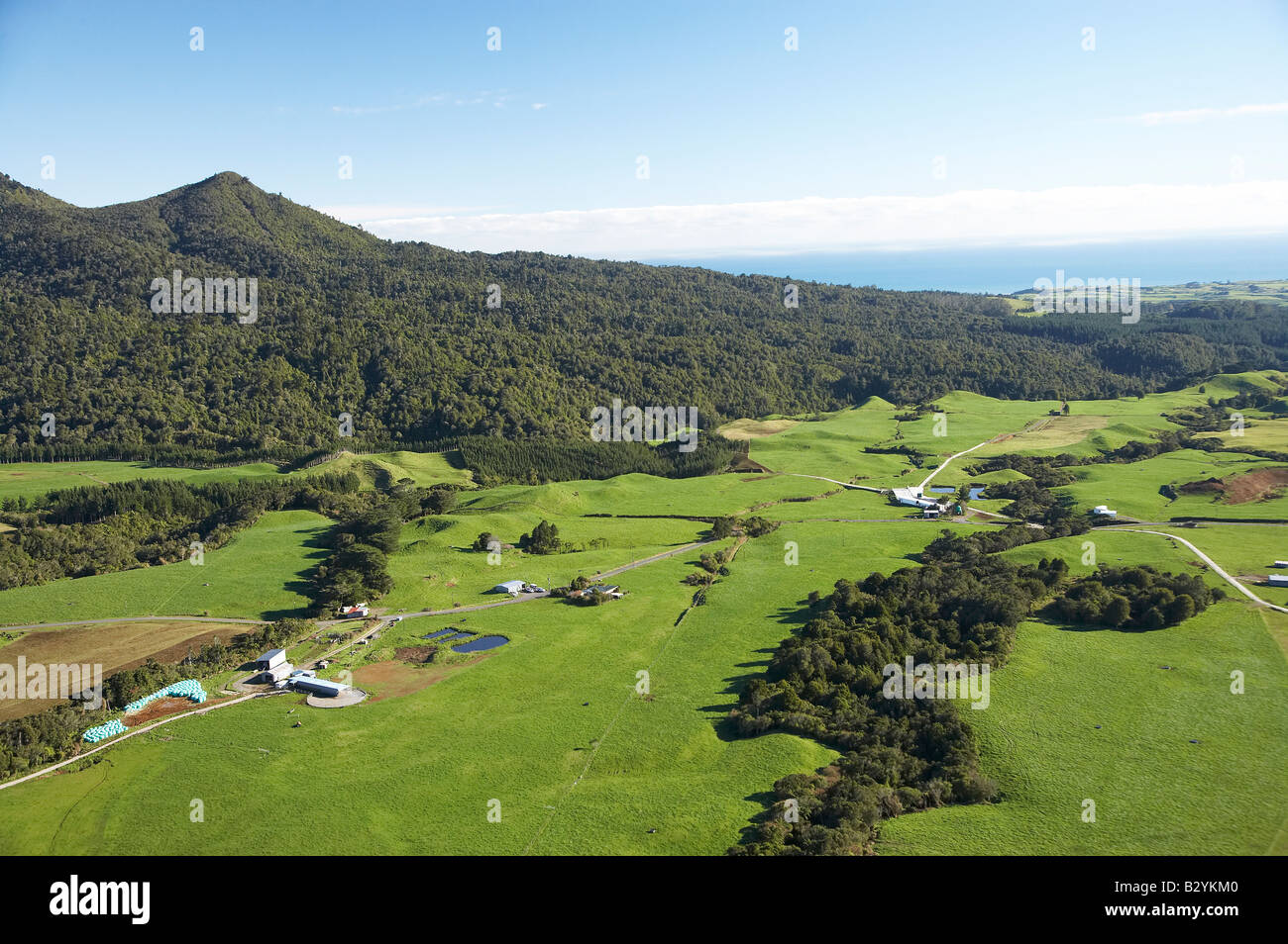 Gamma Kaitake e caseificio vicino a New Plymouth Taranaki Isola del nord della Nuova Zelanda antenna Foto Stock