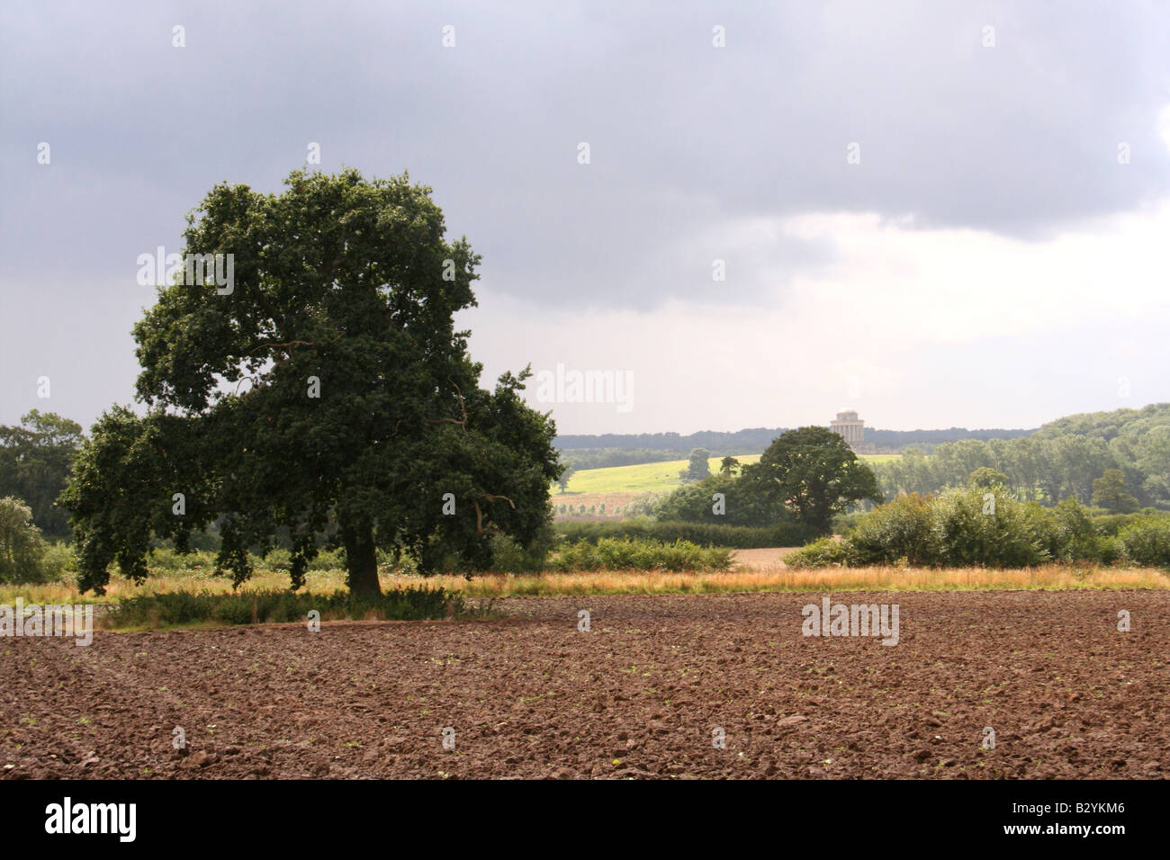 Un campo arato e un albero Foto Stock