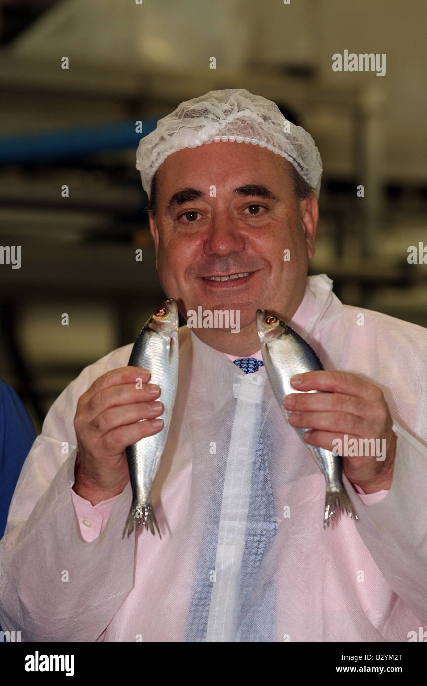 SNP leader scozzese e primo ministro Alex Salmond tenendo due pesci aringa in occasione di una visita a Peterhead, Scotland, Regno Unito Foto Stock