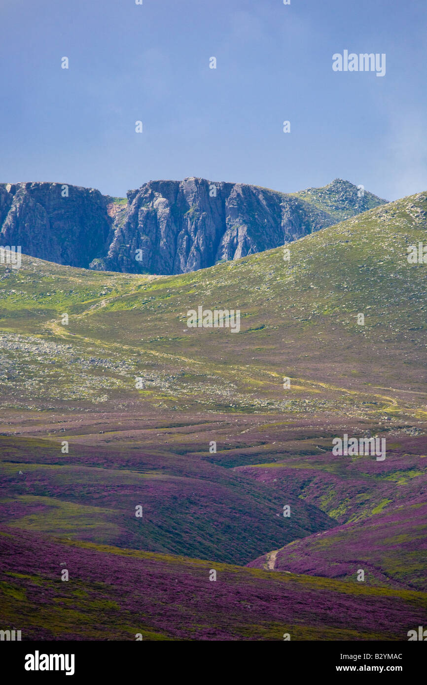 Paesaggio di fioritura Heather e scuro Lochnagar mountain da Glen Muick, Balmoral station wagon, in Highland Cairngorms National Park, Scotland Regno Unito Foto Stock