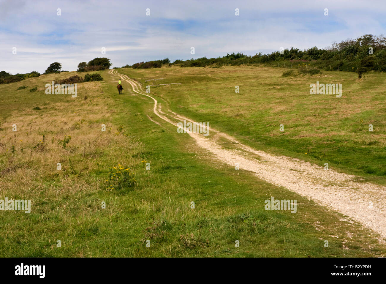 Cavallo cavaliere sull'Tennyson Trail, Mottistone giù, Isle of Wight, Regno Unito Foto Stock