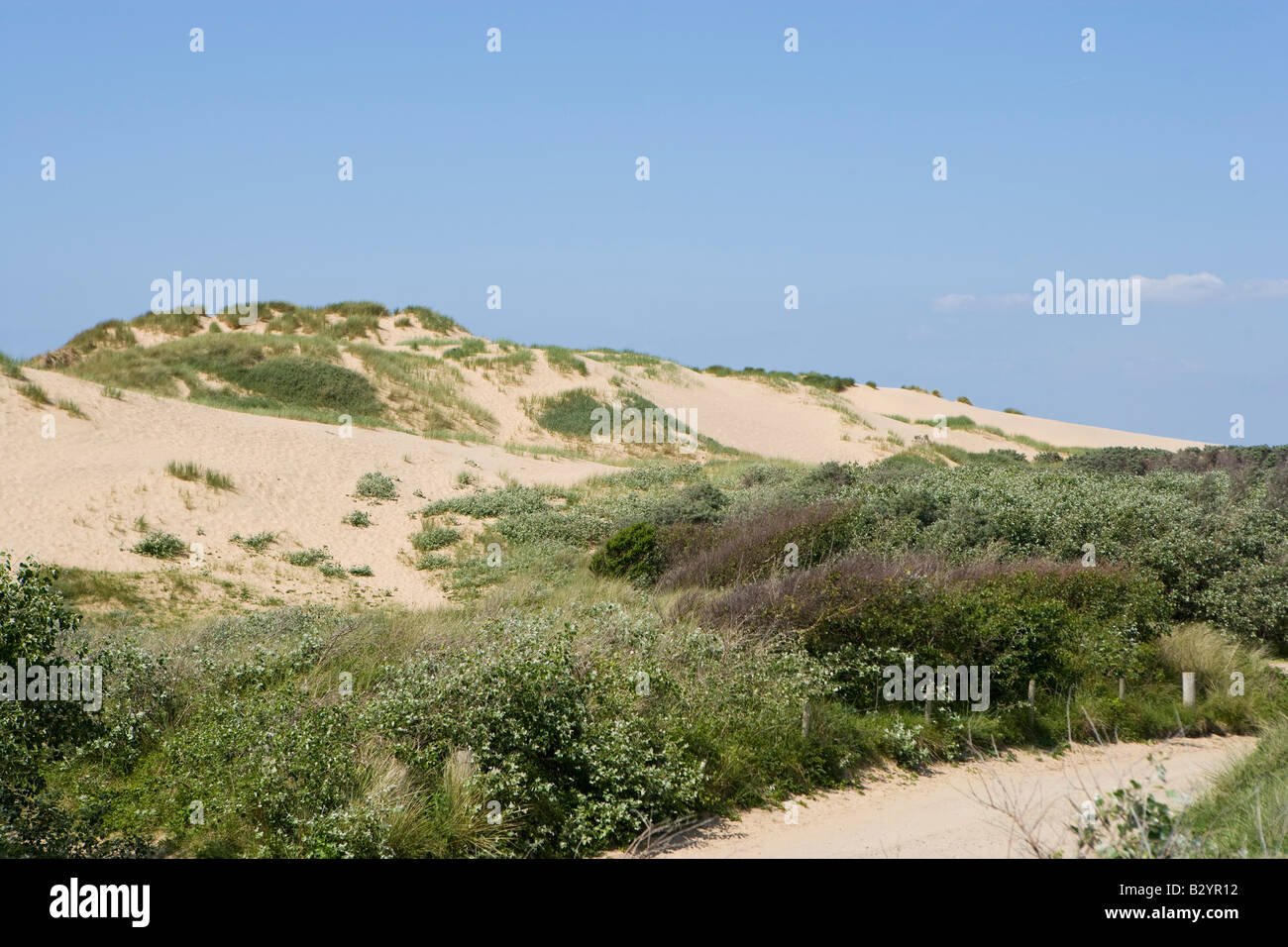 Grandi dune di sabbia a Formby, Merseyside, Regno Unito Foto Stock