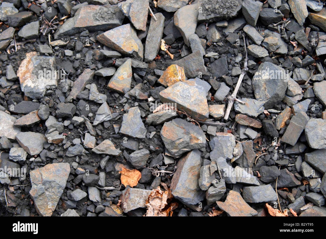 Dettaglio del suolo. L'ardesia. Il nero del suolo. Chiamato Terres Brulees, terra bruciata. Domaine Piquemal, Espira de l'Agly, Roussillon, Francia Foto Stock