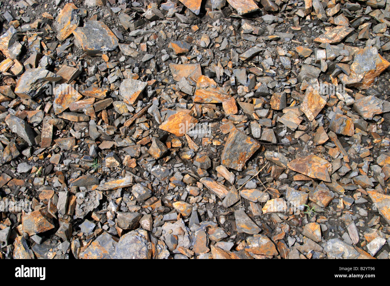 Dettaglio del suolo. L'ardesia. Il nero del suolo. Chiamato Terres Brulees, terra bruciata. Domaine Piquemal, Espira de l'Agly, Roussillon, Francia Foto Stock
