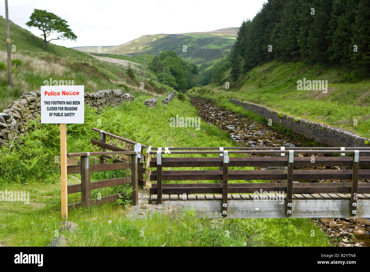 Foresta di Bowland sentiero chiuso in seguito agli attacchi su scuotipaglia dal Gufo reale Foto Stock