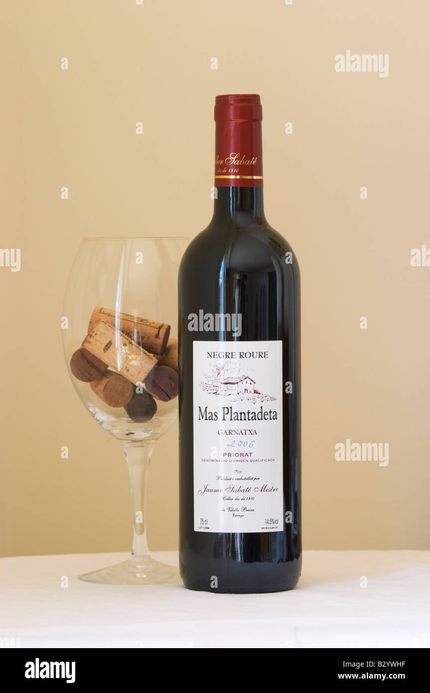 Negre Roure, Mas Plantadeta Garnatxa 2006, Jaume Sabate Mestre. Grenache. Priorato, Catalogna, Spagna. Foto Stock