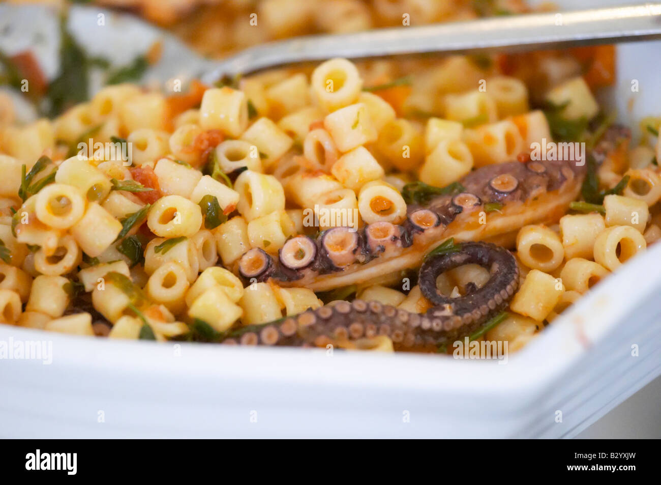 Il pranzo con il polpo con la pasta. Arte del Vino Cantina immobiliare, Microchori, dramma, Macedonia, Grecia Foto Stock