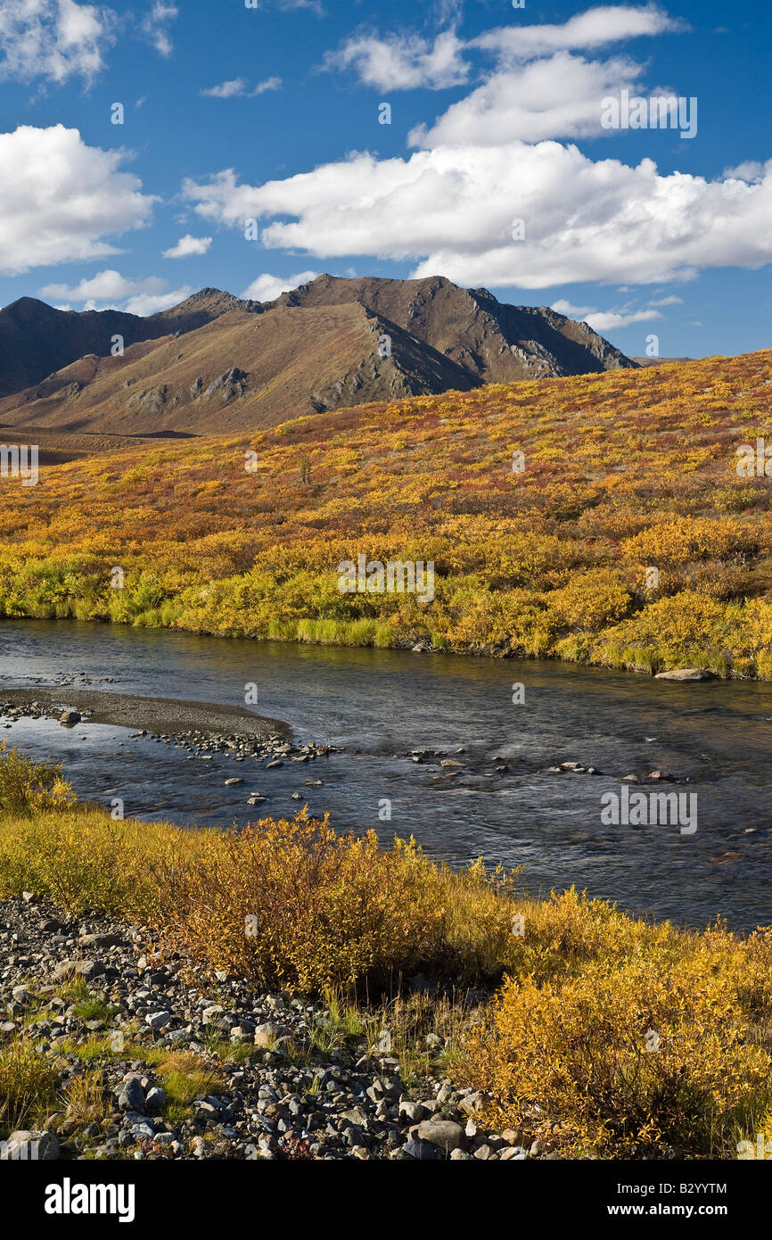 Blackstone River, Lapide parco territoriale, Yukon, Canada Foto Stock