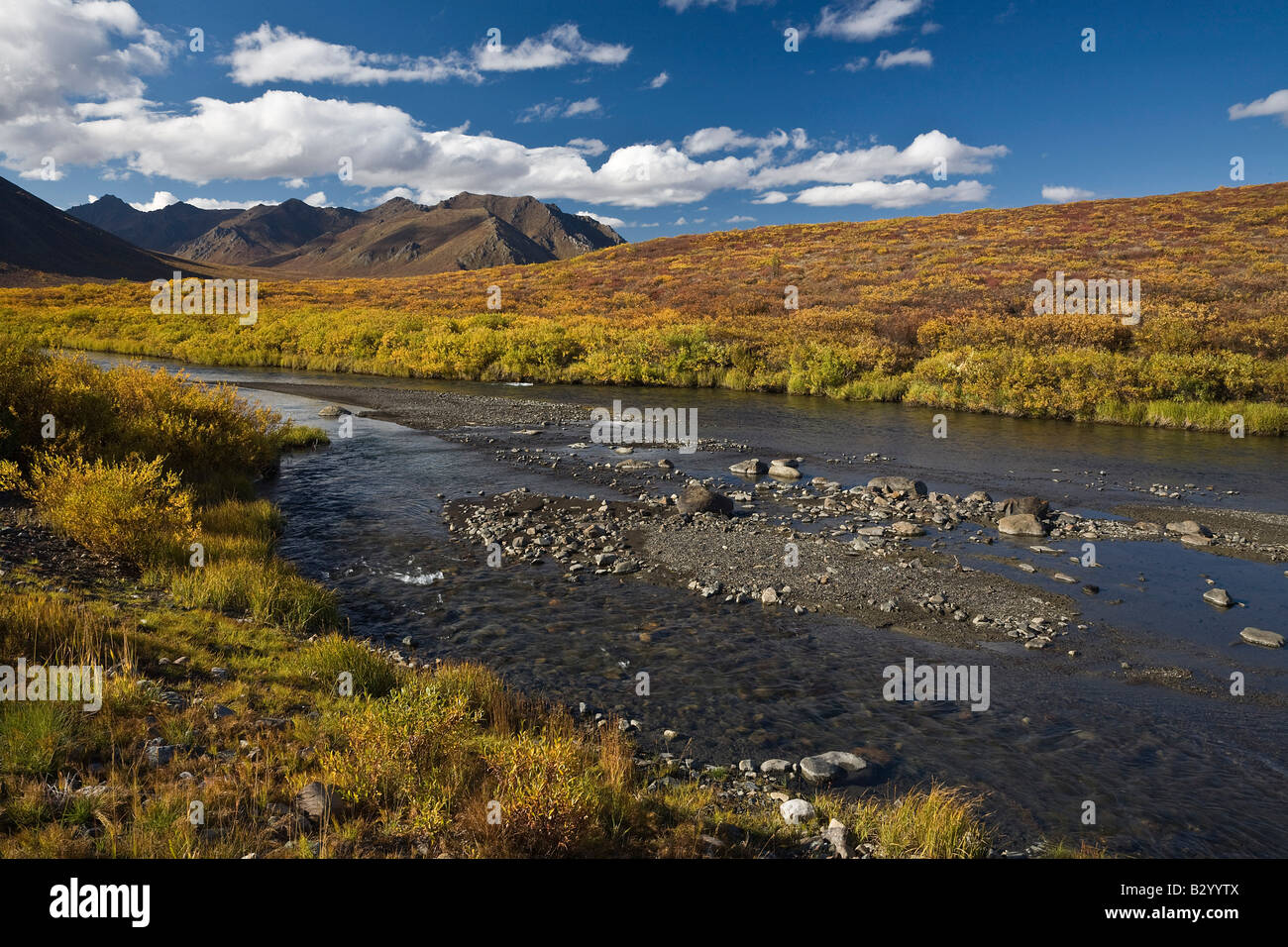 Blackstone River, Lapide parco territoriale, Yukon, Canada Foto Stock