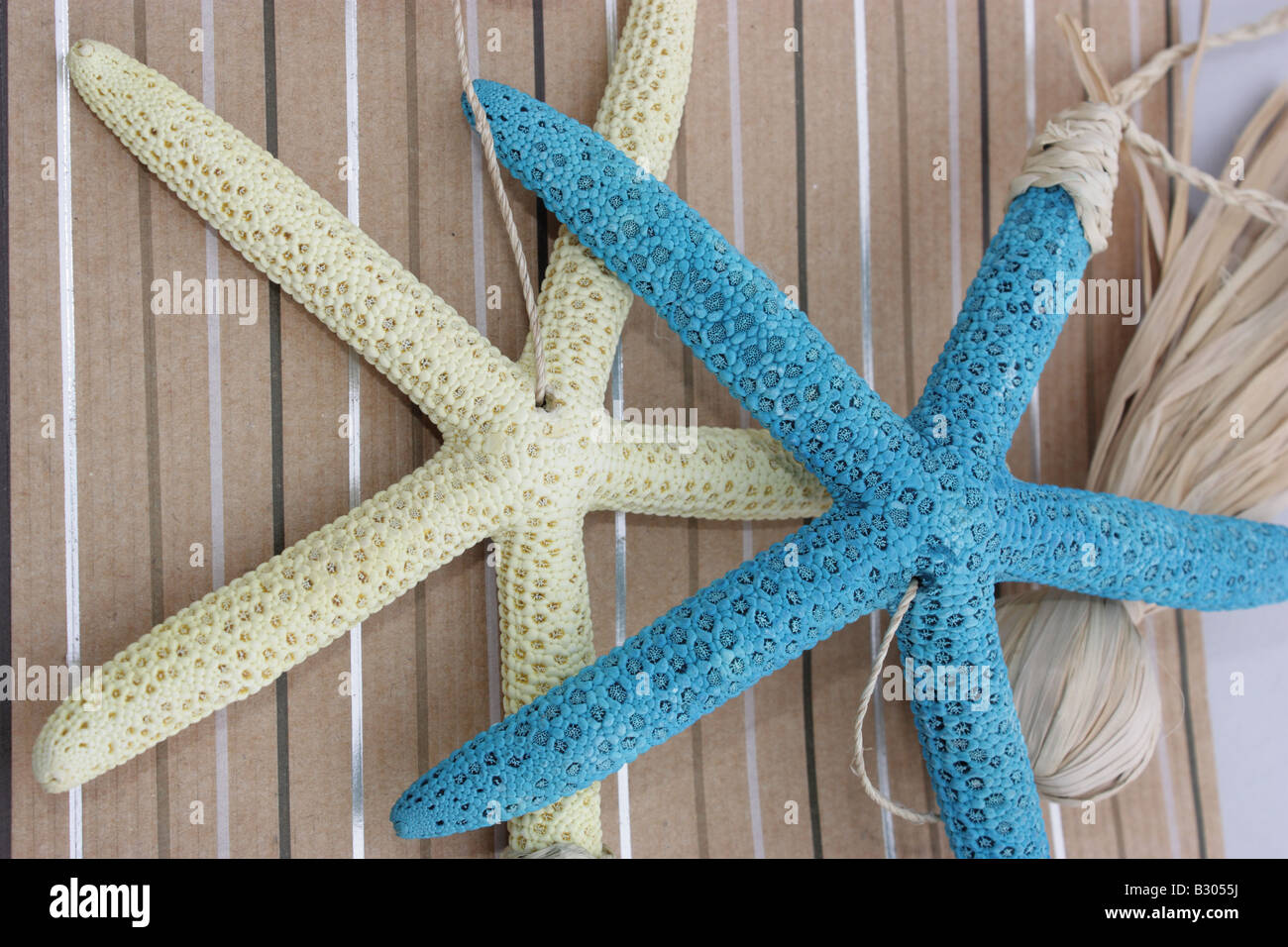 STILL LIFE foto di due stelle marine sul beige sfondo a trama orizzontale11246 BDA Foto Stock