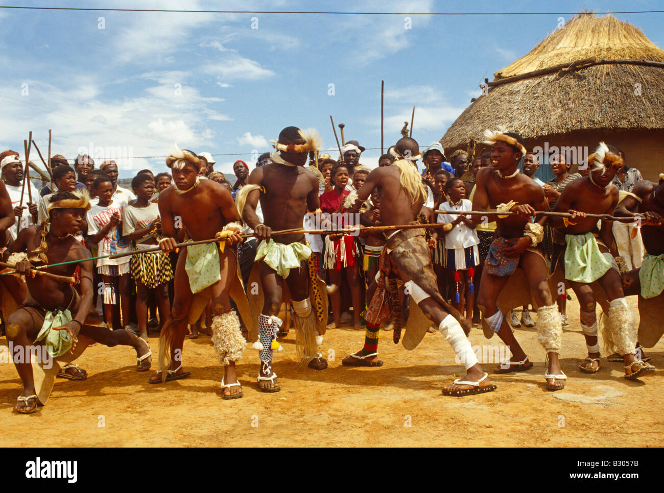 Zulu dancing in Sud Africa. Foto Stock