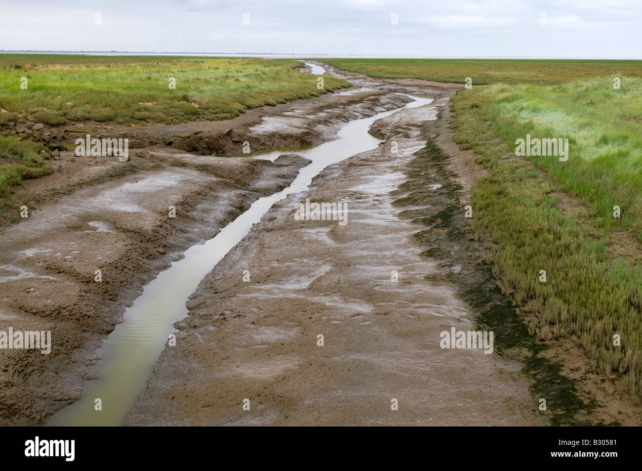 Fens paesaggio, il lavaggio, lincolnshire, Inghilterra Foto Stock