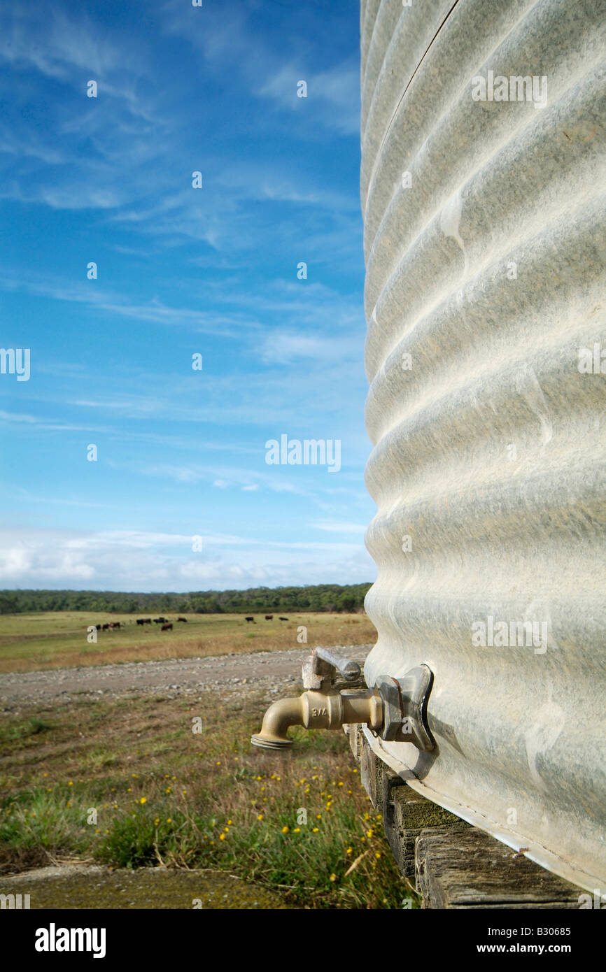 Un serbatoio di acqua in una fattoria foto da Bruce Miller 2008 Foto Stock