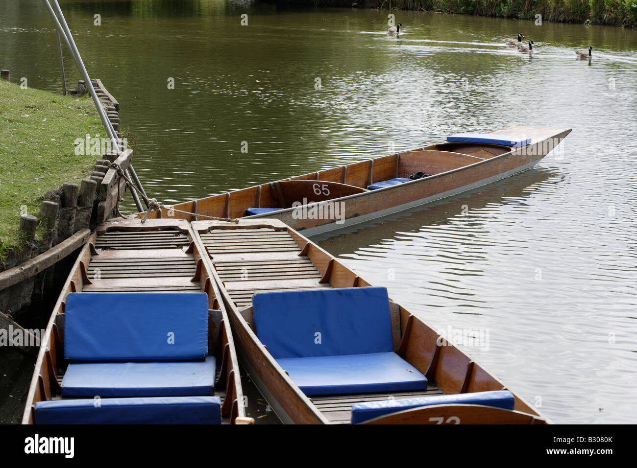 Sterline ormeggiato sul fiume Cherwell Oxfordshire England Regno Unito Foto Stock
