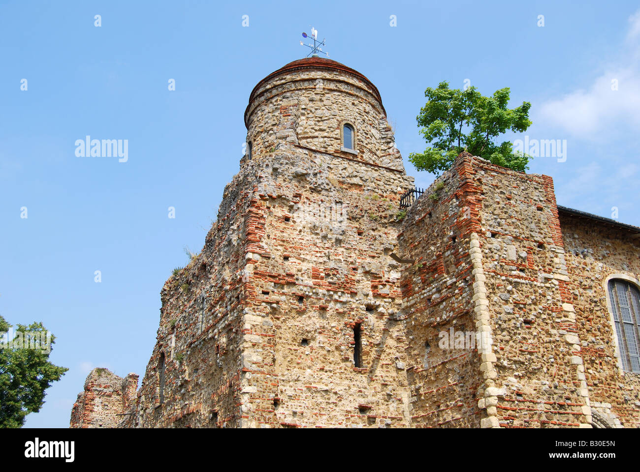 11th ° secolo Castello di Colchester, Upper Castle Park, Colchester, Essex, Inghilterra, Regno Unito Foto Stock