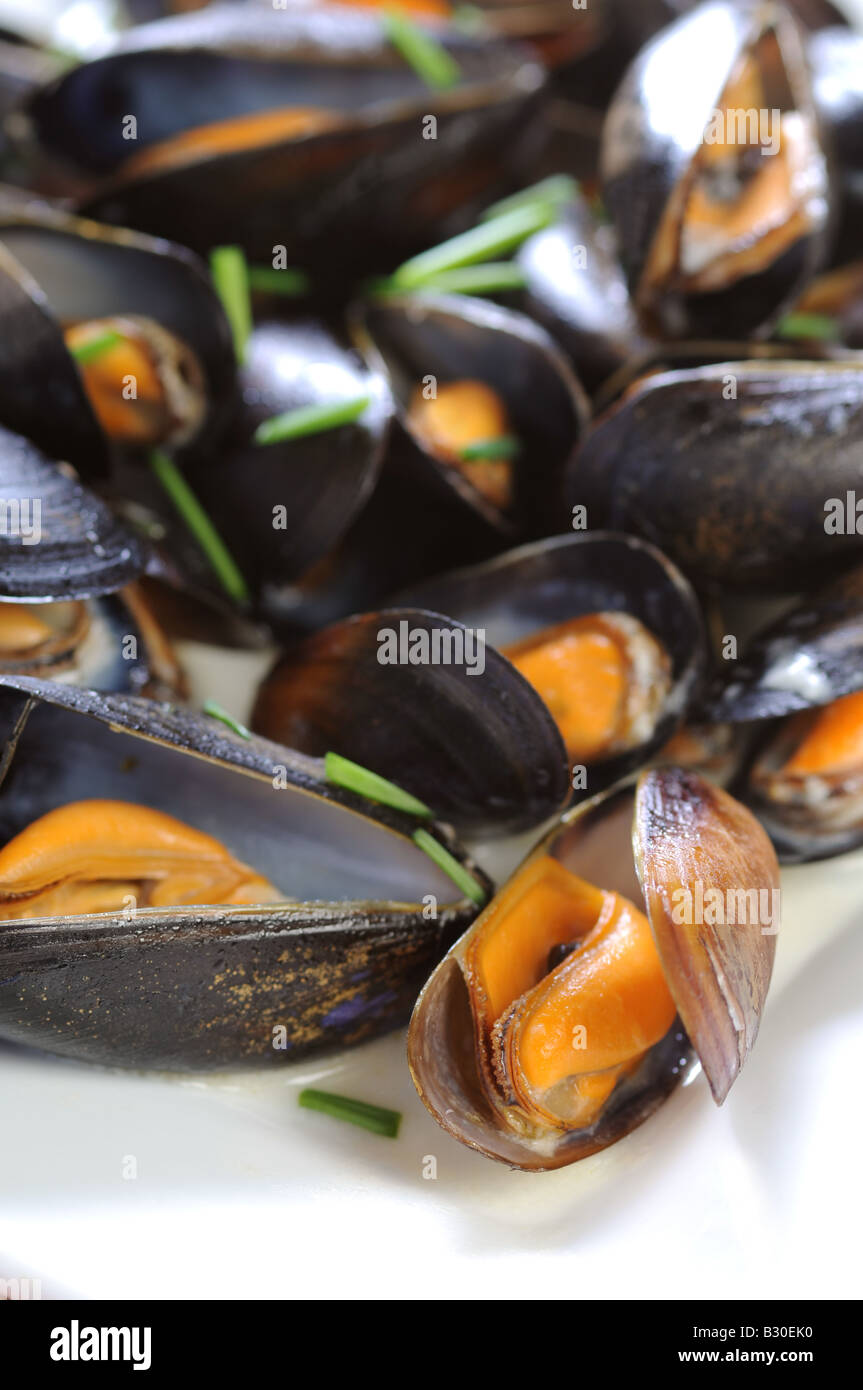 Una piastra di cozze Piatti di pesce con una salsa di aglio Foto Stock