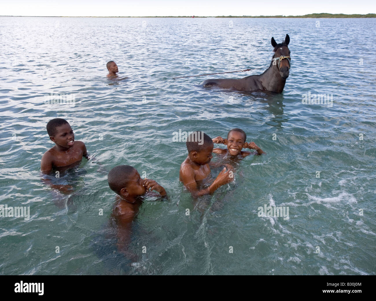 Un uomo nuota la sua corsa di cavalli nella laguna vicino Codrington Barbuda Kids nuoto nelle vicinanze hanno visto questa prima Foto Stock