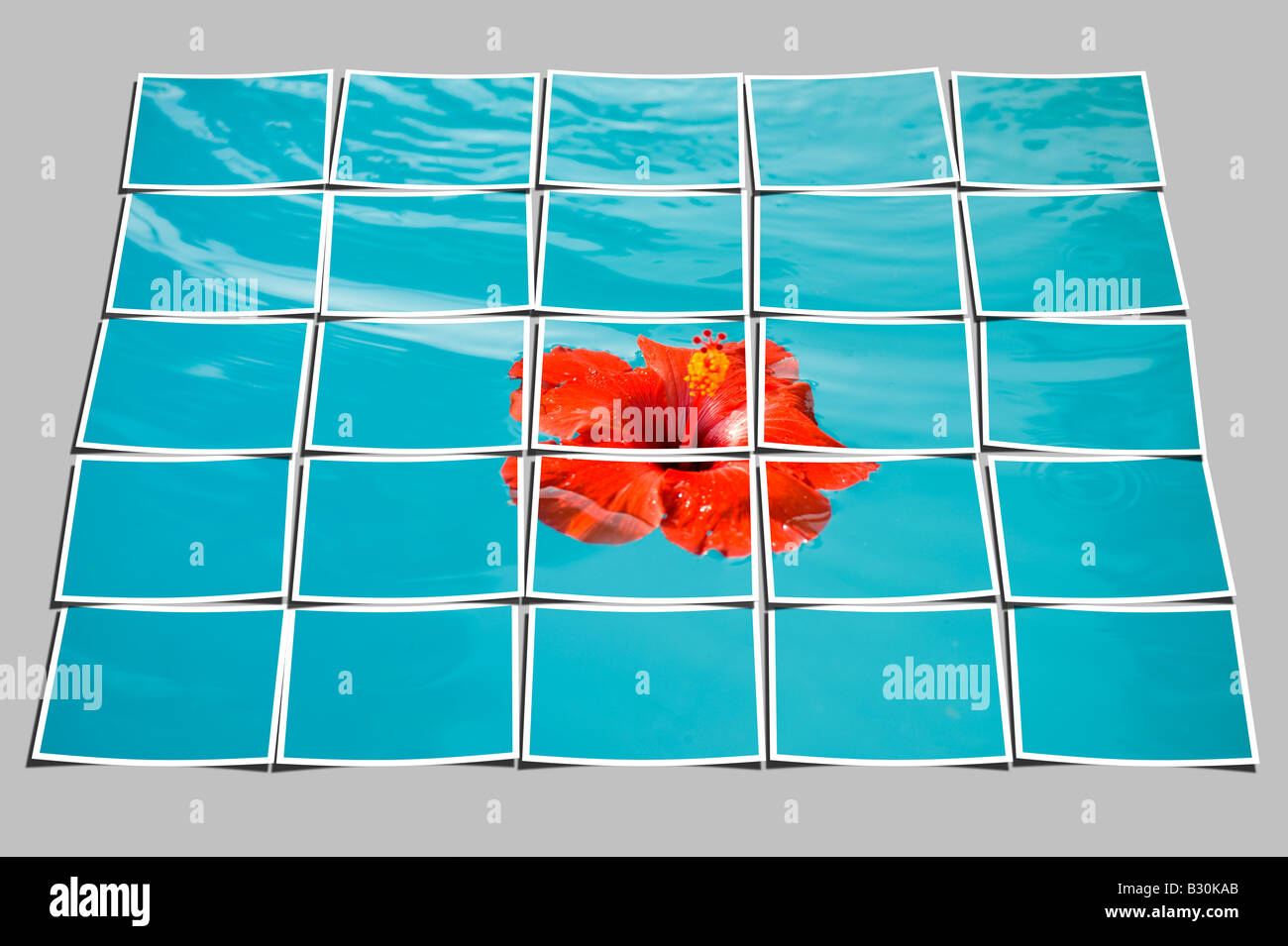 Piastrellate fotografia di fiori di ibisco galleggianti in piscina Foto Stock