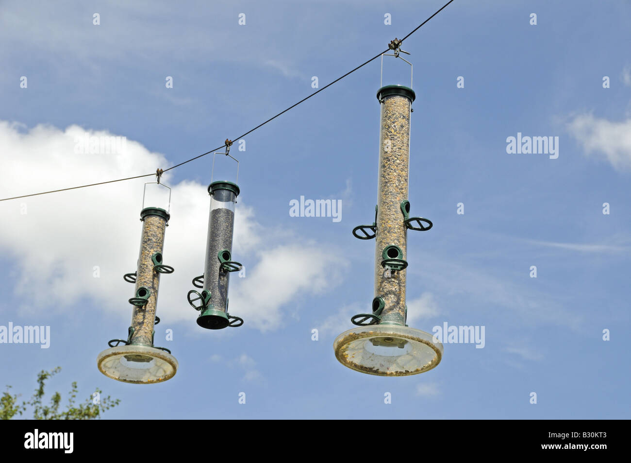 Gli alimentatori degli uccelli contro il cielo blu Gillespie Park Highbury Londra Inghilterra REGNO UNITO Foto Stock
