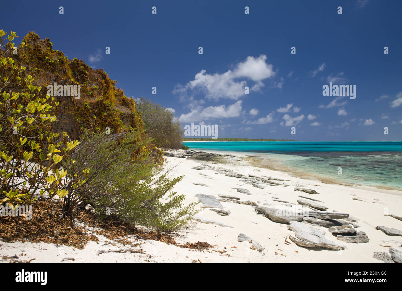 Spiaggia e la laguna di Bikini Isole Marshall Bikini Atoll Micronesia Oceano Pacifico Foto Stock