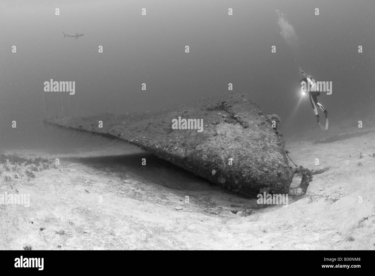 Subacqueo a prua del Cacciatorpediniere USS Anderson Isole Marshall Bikini Atoll Micronesia Oceano Pacifico Foto Stock