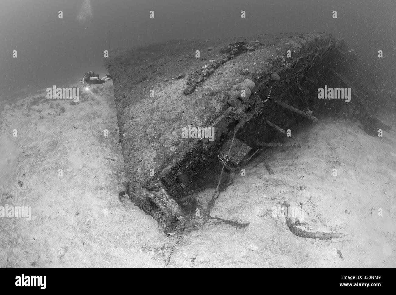Subacqueo a prua del Cacciatorpediniere USS Anderson Isole Marshall Bikini Atoll Micronesia Oceano Pacifico Foto Stock
