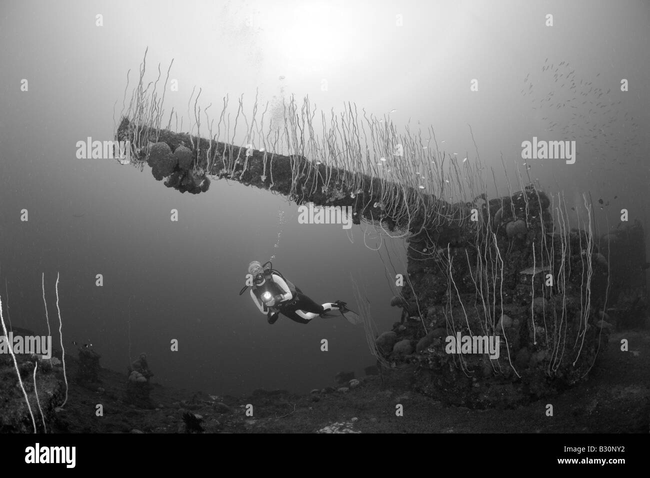 Subacqueo e 5 pollici di cannone di USS Carlisle attacco Transporter Isole Marshall Bikini Atoll Micronesia Oceano Pacifico Foto Stock