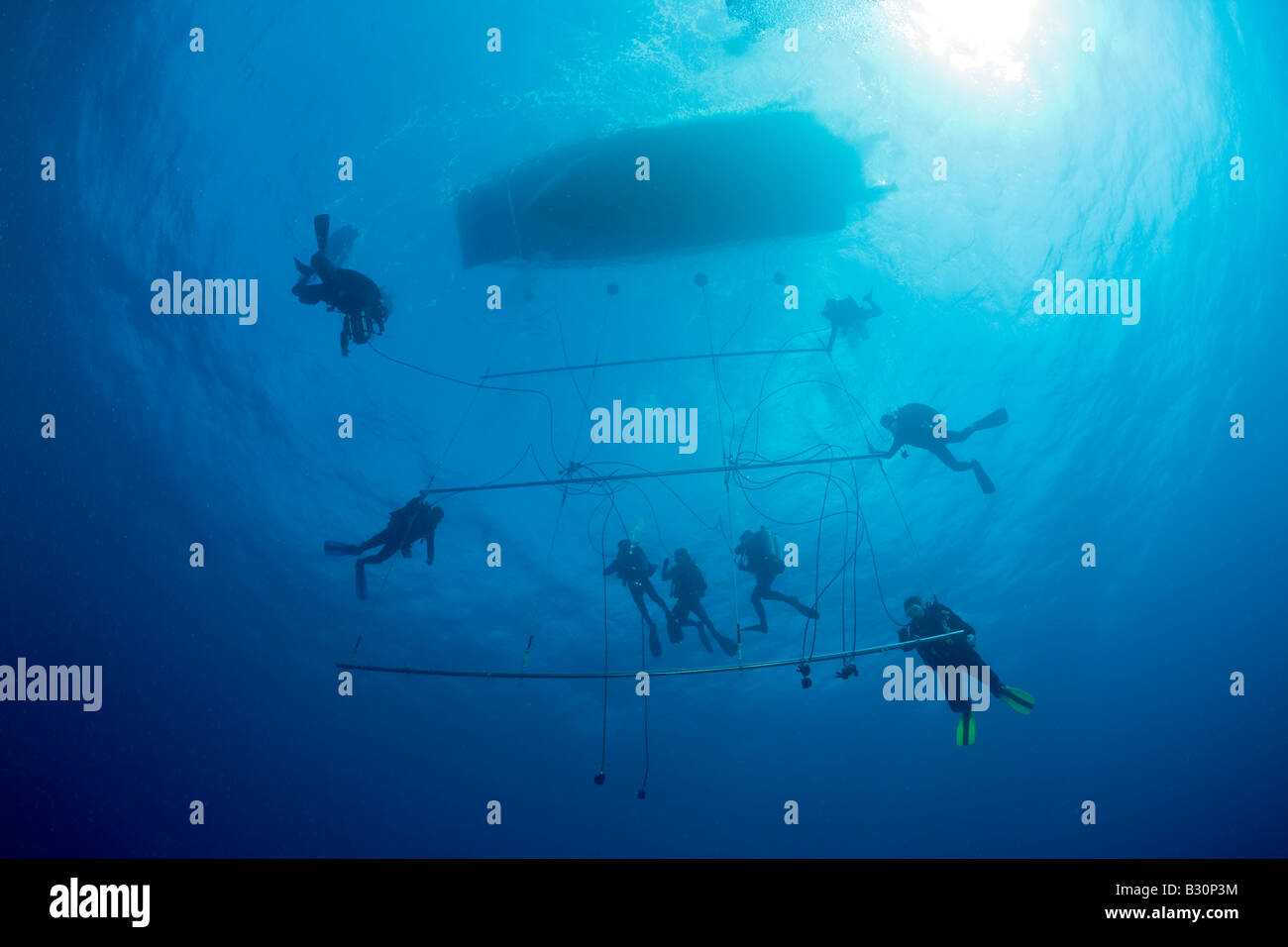 I subacquei a trapezio di decompressione dopo profonda Wreckdive Isole Marshall Bikini Atoll Micronesia Oceano Pacifico Foto Stock