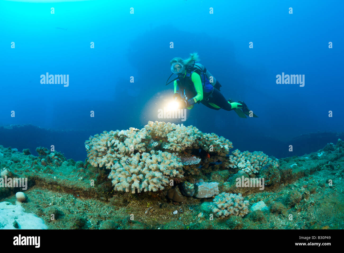 Subacqueo e coralli a ponte di volo sulla USS Saratoga Isole Marshall Bikini Atoll Micronesia Oceano Pacifico Foto Stock