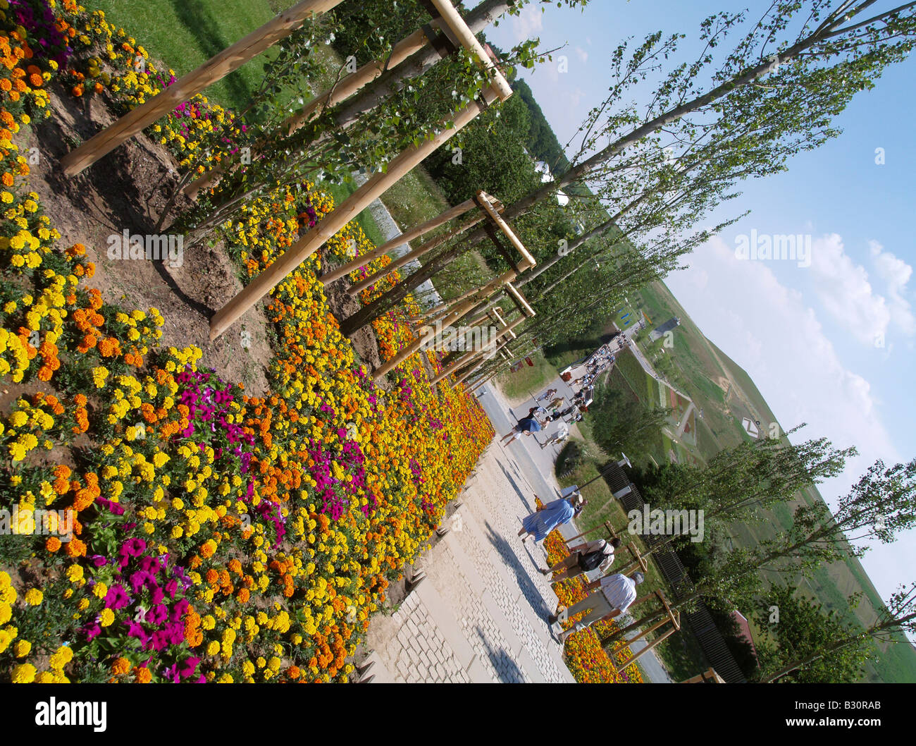 Scale con aiuole e filari di pioppi sul Federal Garden Exhibition 2007 Gera e Ronneburg Foto Stock