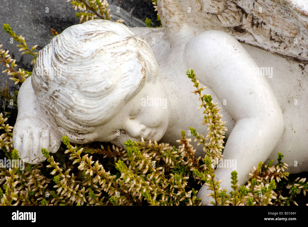 Sleeping baby angel putto con Heather Foto Stock
