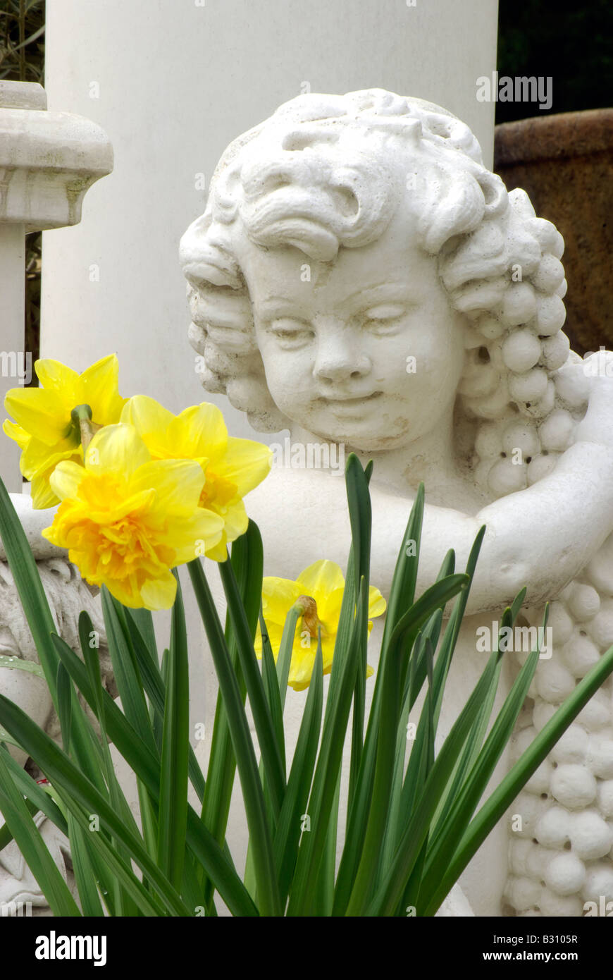 Bambino angelo scultura con uve e daffodil fiori in primavera Foto Stock
