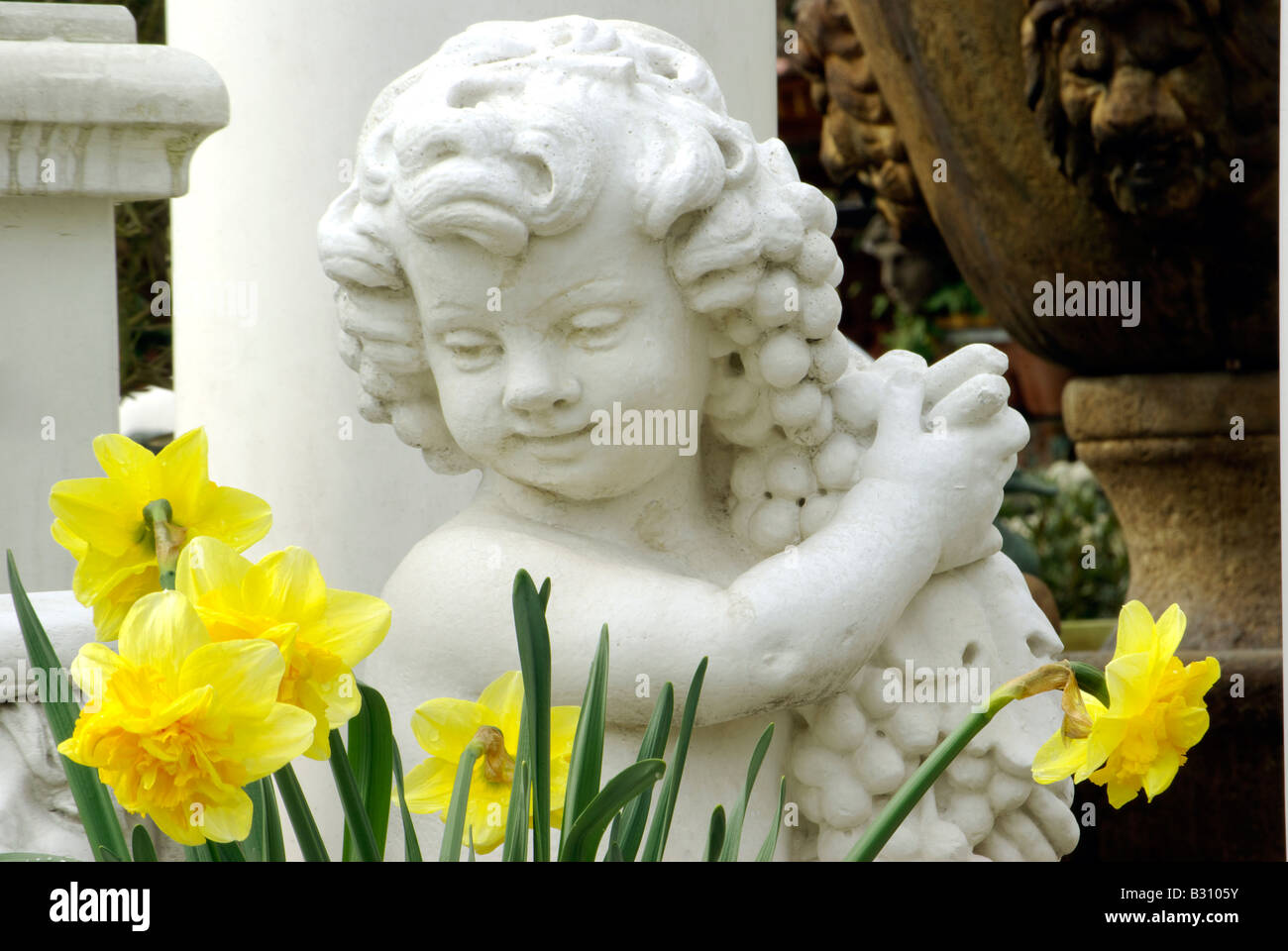 Bambino angelo scultura con uve e daffodil fiori in primavera Foto Stock