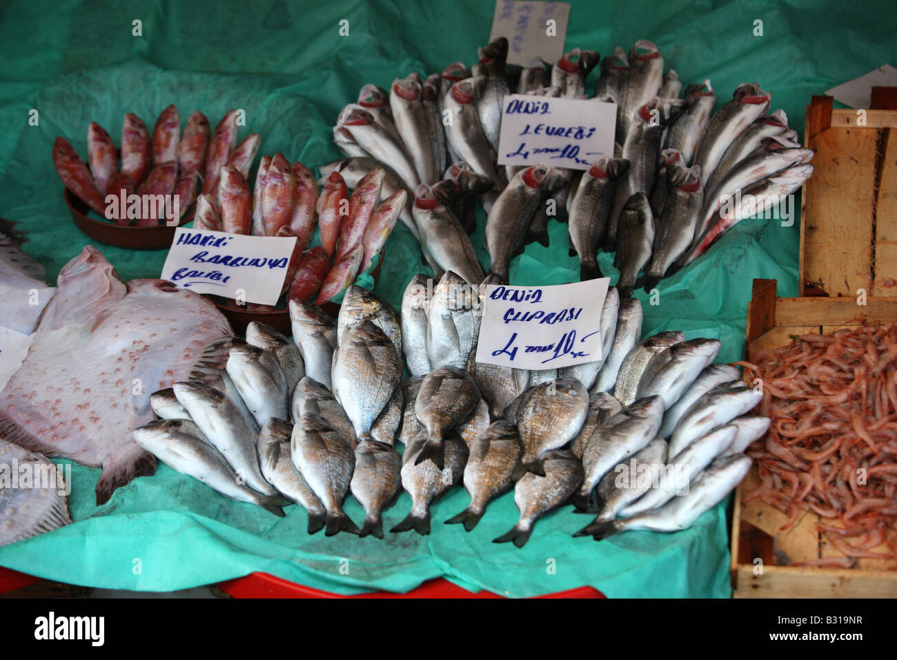 TUR Turchia Istanbul: mercato del pesce in Galata vicino il ponte Galata. Foto Stock