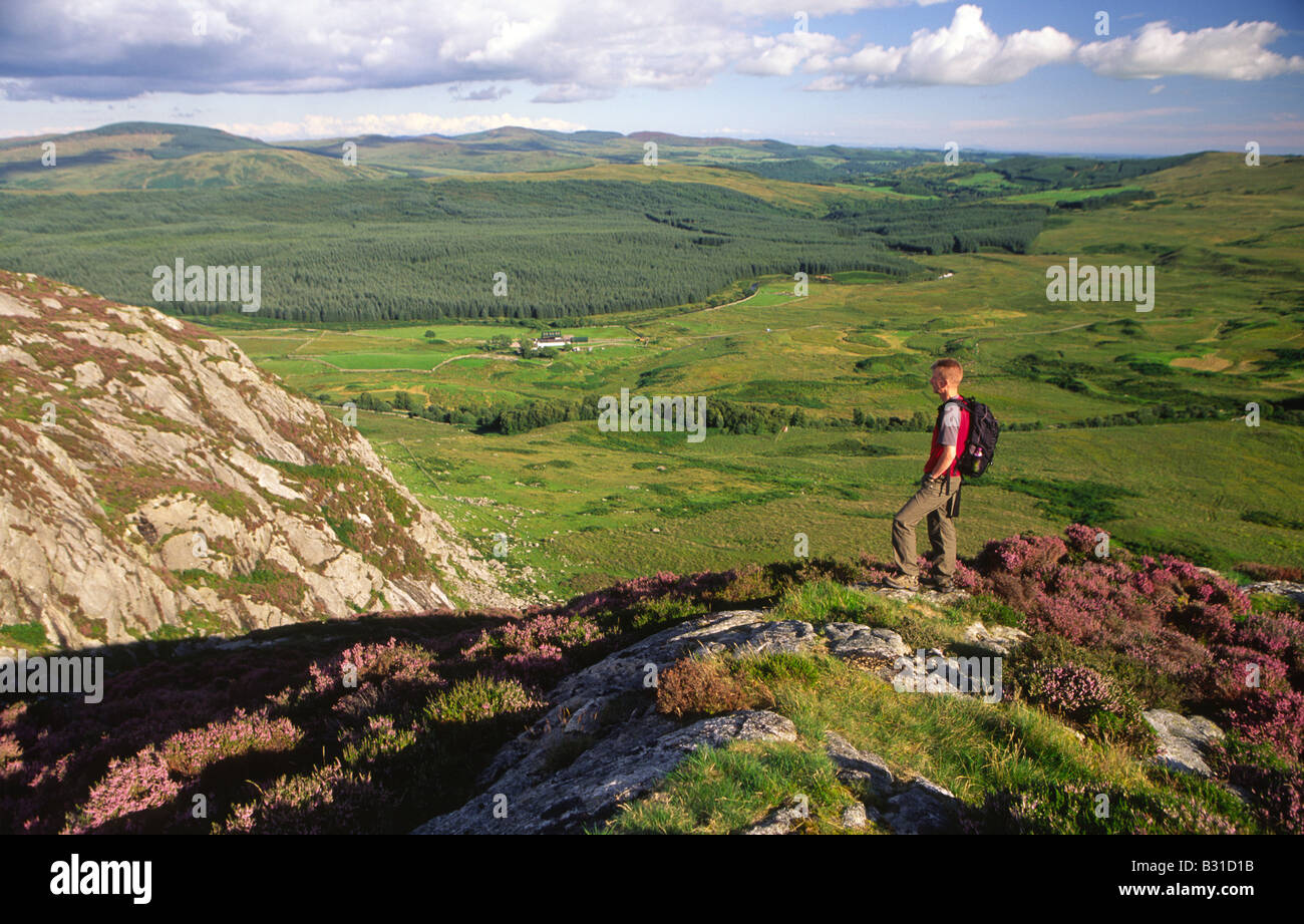 Passeggiate in Cairnsmore della natura della flotta scozzese di riserva del patrimonio naturale walker sul Clints di Dromore Galloway Scotland Regno Unito Foto Stock