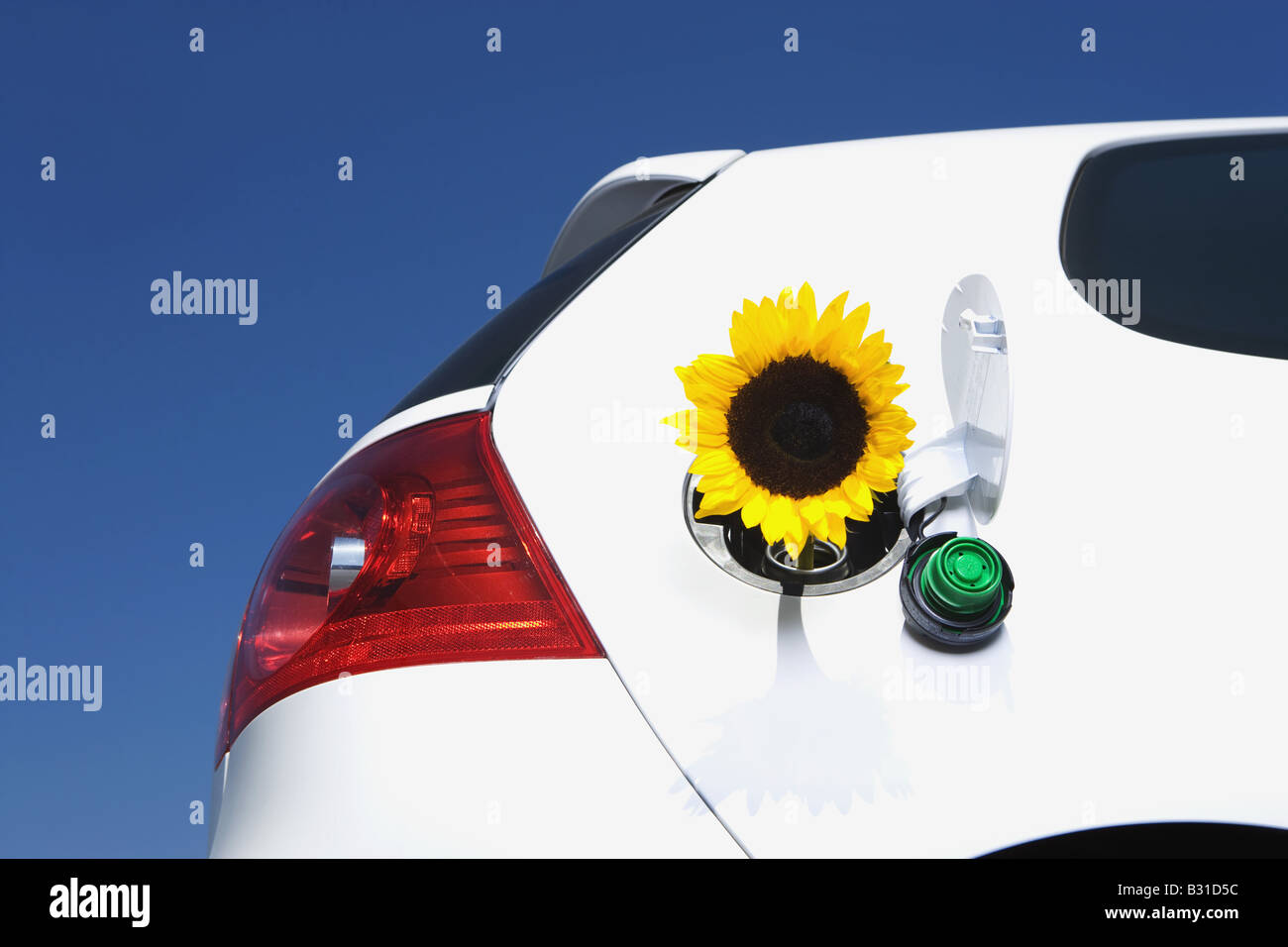 VW GTI con girasole in uscita del combustibile Foto Stock
