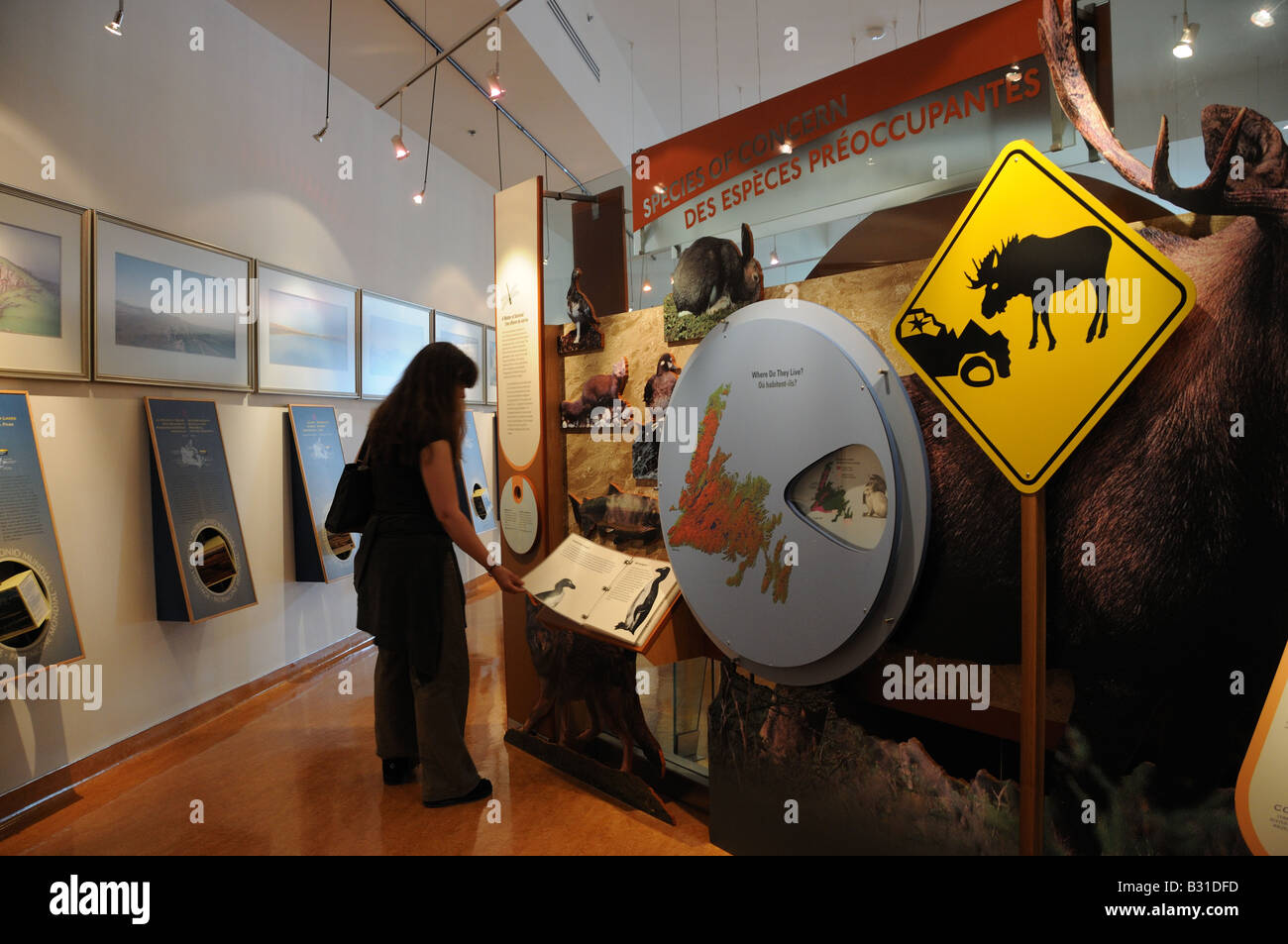 Il centro di scoperta nel punto di Woody, Terranova presenta mostre interattive su Parco Nazionale Gros Morne. Foto Stock