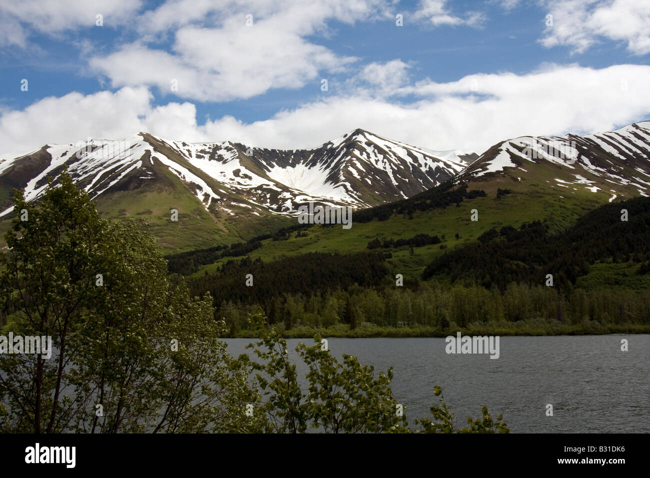 Coperta di neve in alta montagna in Alaska Foto Stock