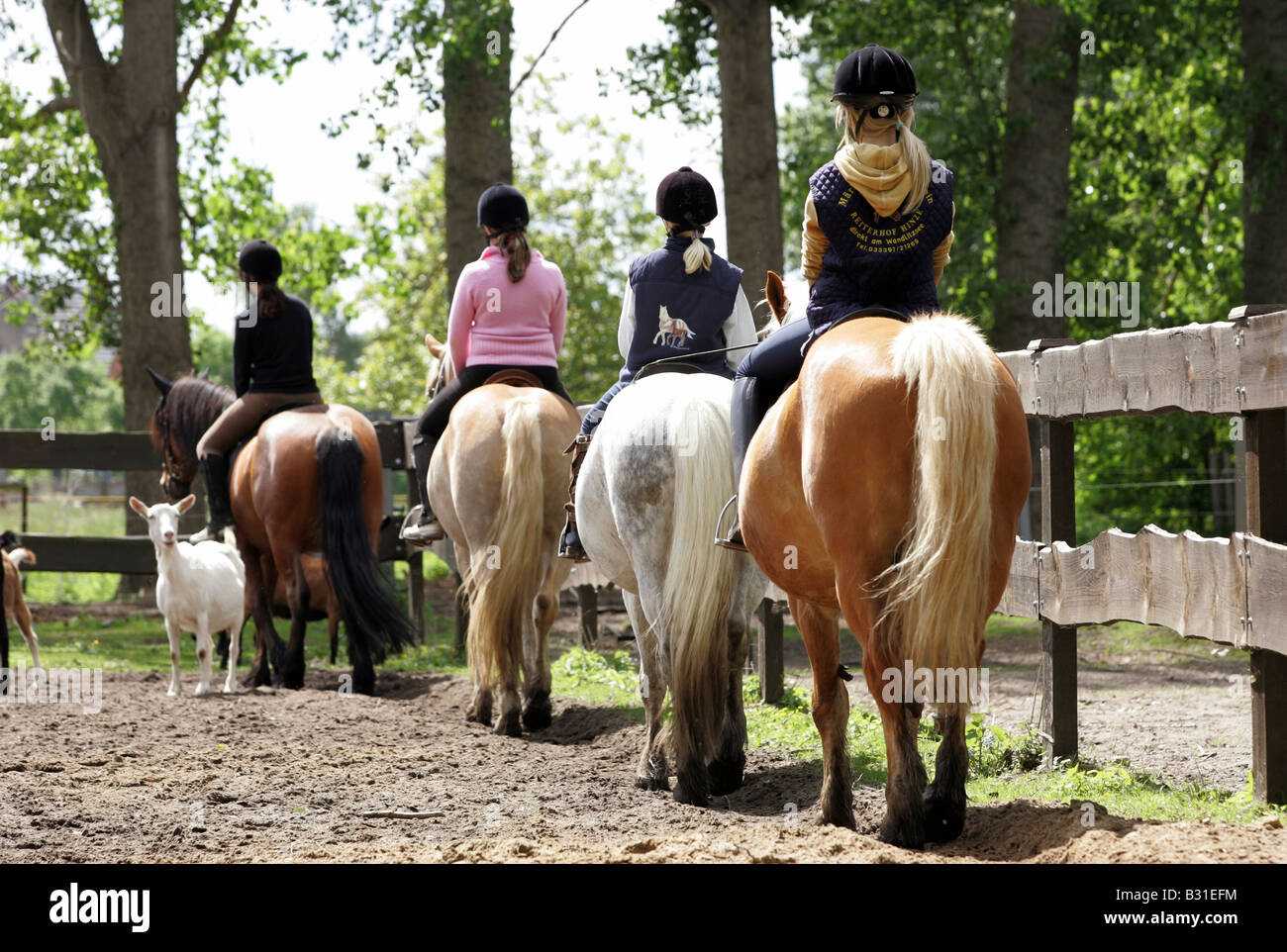 Le ragazze a cavallo Foto Stock